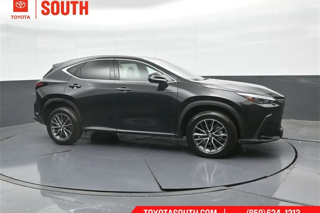 2025 Lexus NX 350h photo 1