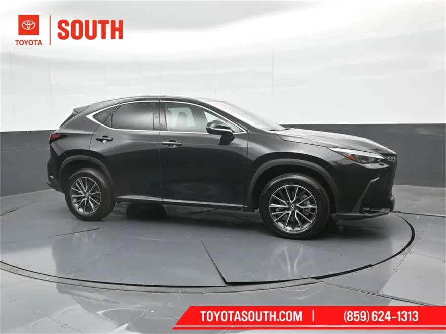 2025 Lexus NX 350h photo 1