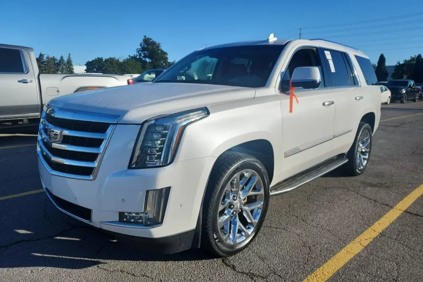 2018 Cadillac Escalade Luxury photo 1