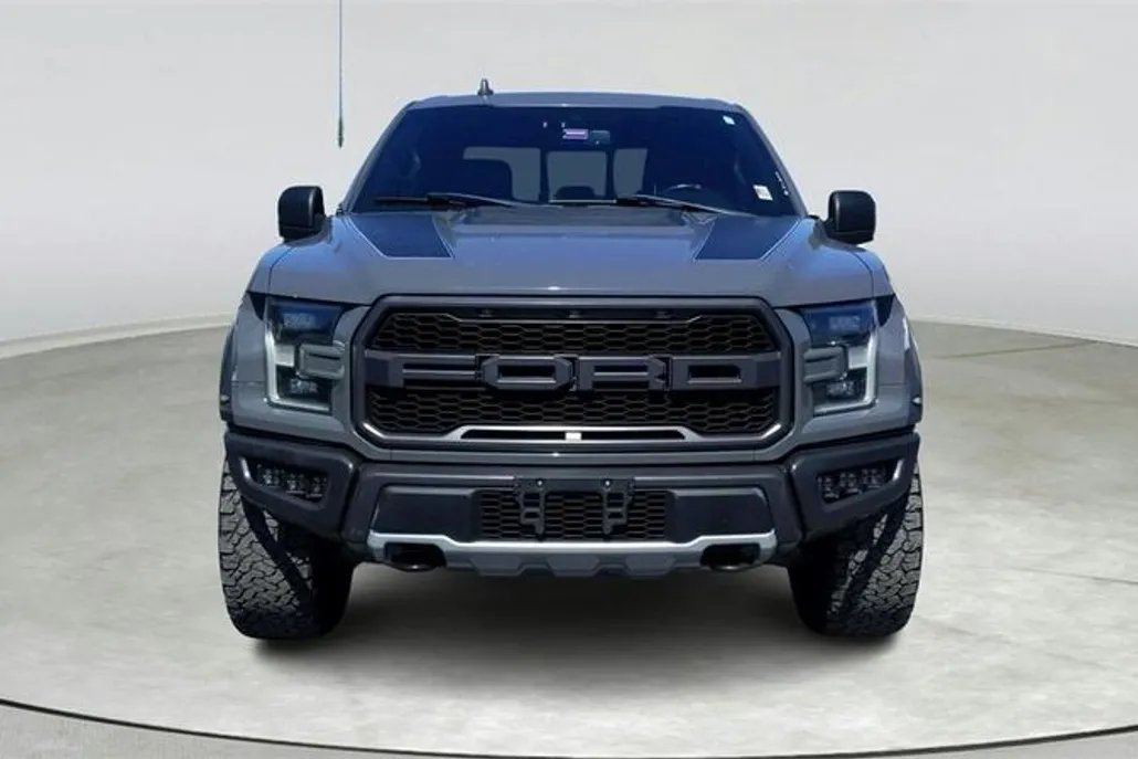 2020 Ford F-150 Raptor photo 1
