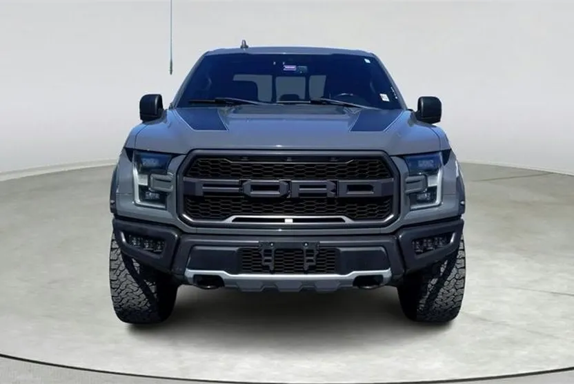 2020 Ford F-150 Raptor photo 1