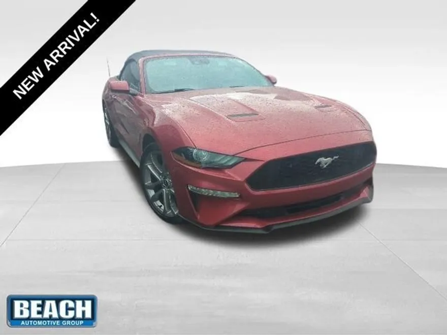 2023 Ford Mustang EcoBoost Premium photo 1
