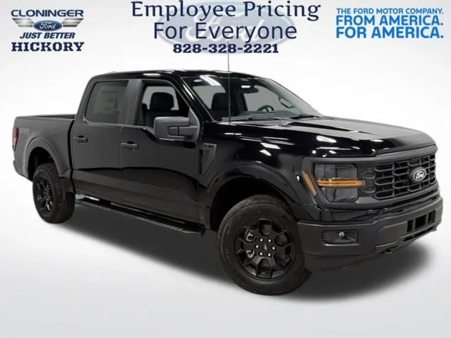 2025 Ford F-150 STX photo 1