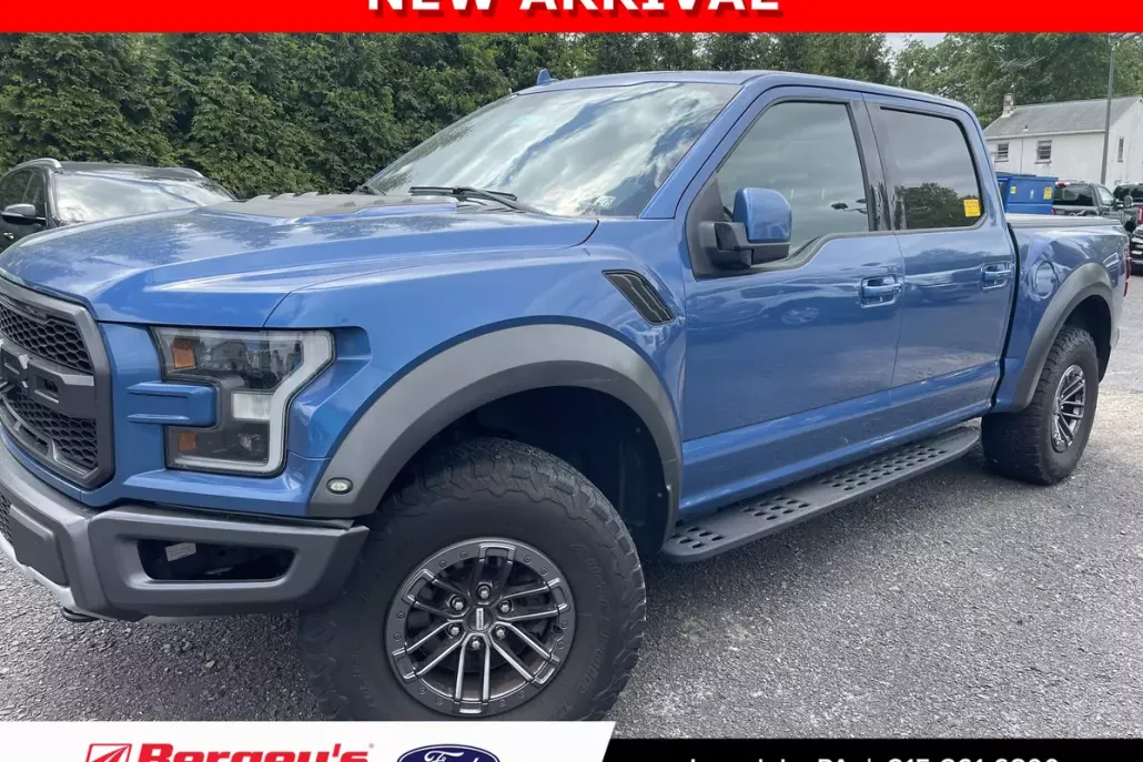2020 Ford F-150 Raptor photo 1