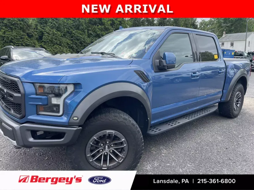 2020 Ford F-150 Raptor photo 1
