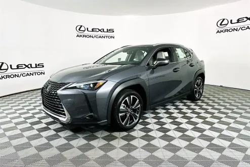 2024 Lexus UX 250h photo 2