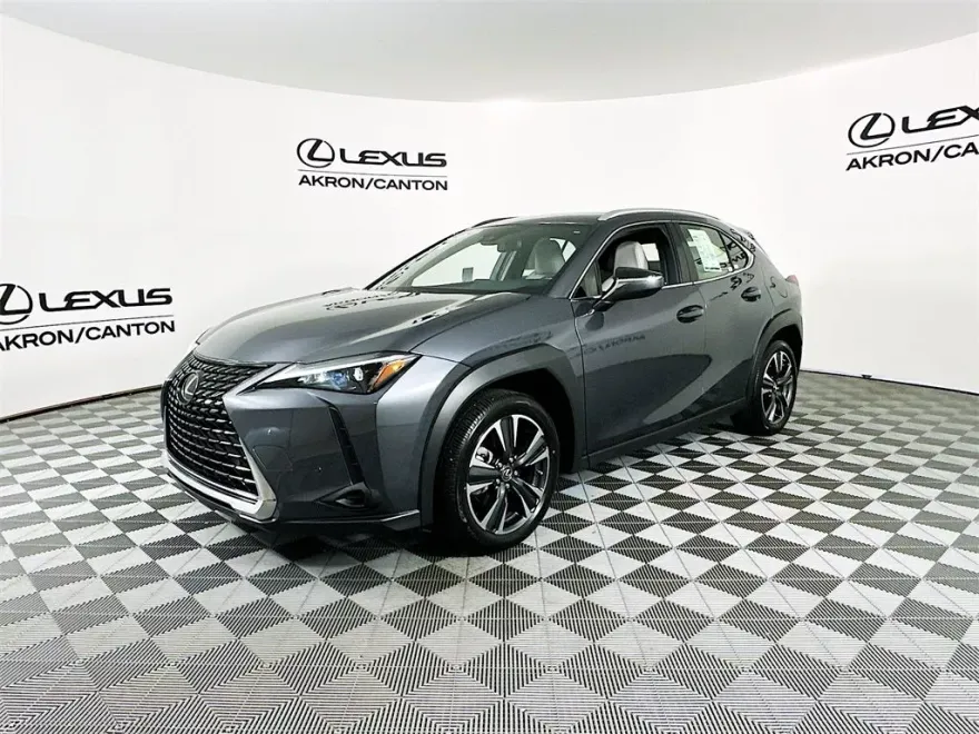 2024 Lexus UX 250h photo 2