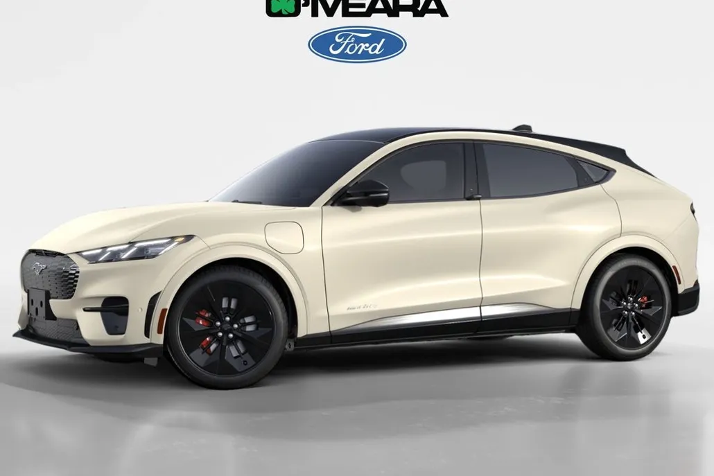 2025 Ford Mustang Mach-E GT photo 1