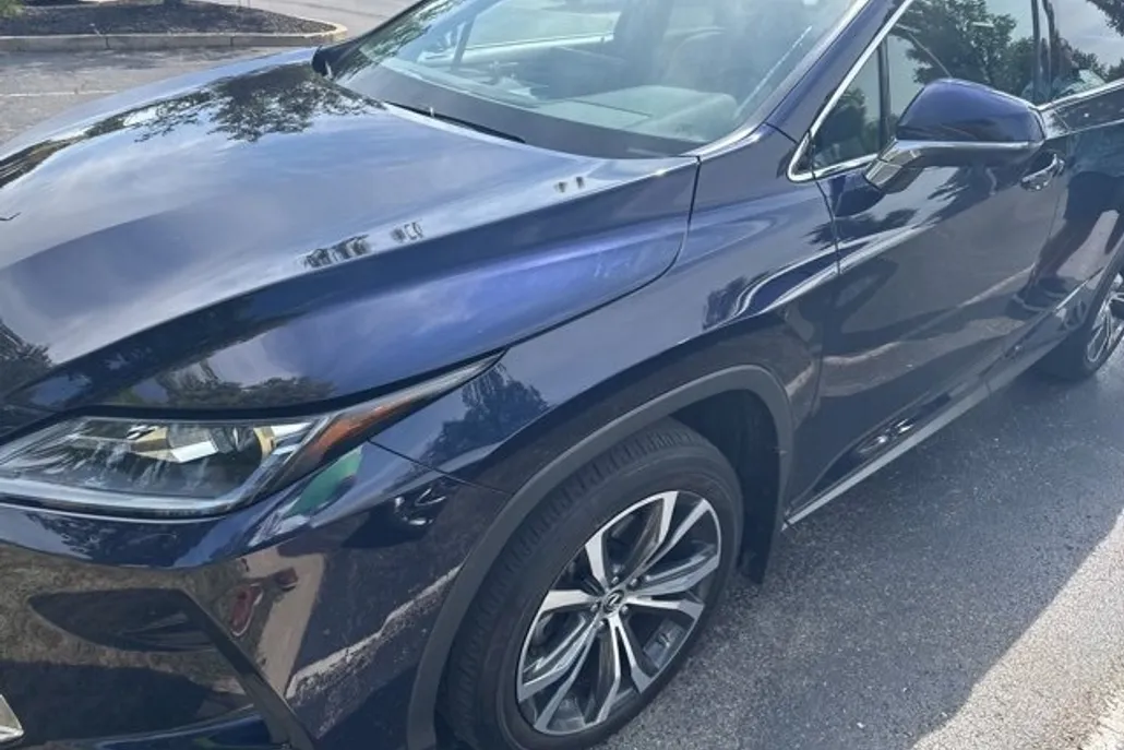 2022 Lexus RX 350 photo 1