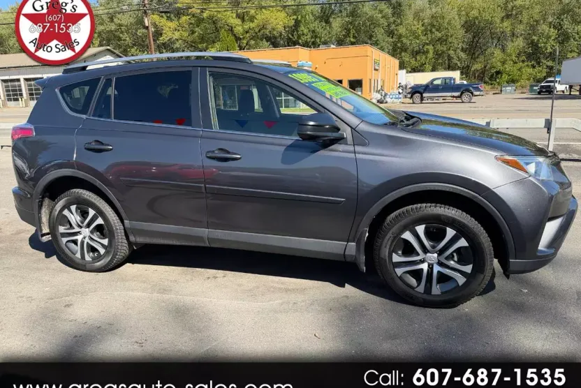 2018 Toyota RAV4 LE photo 1