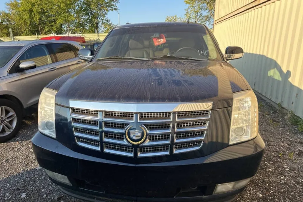 2009 Cadillac Escalade ESV Luxury photo 1
