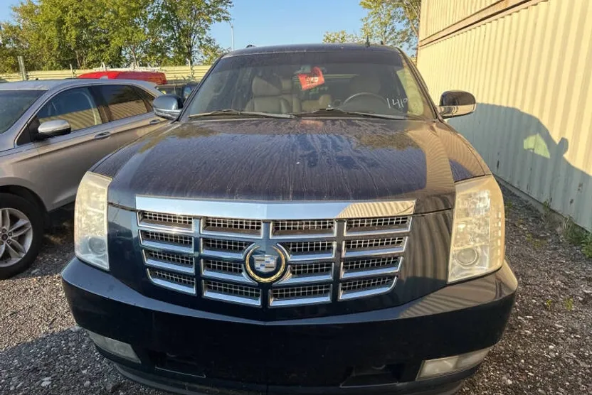 2009 Cadillac Escalade ESV Luxury photo 1