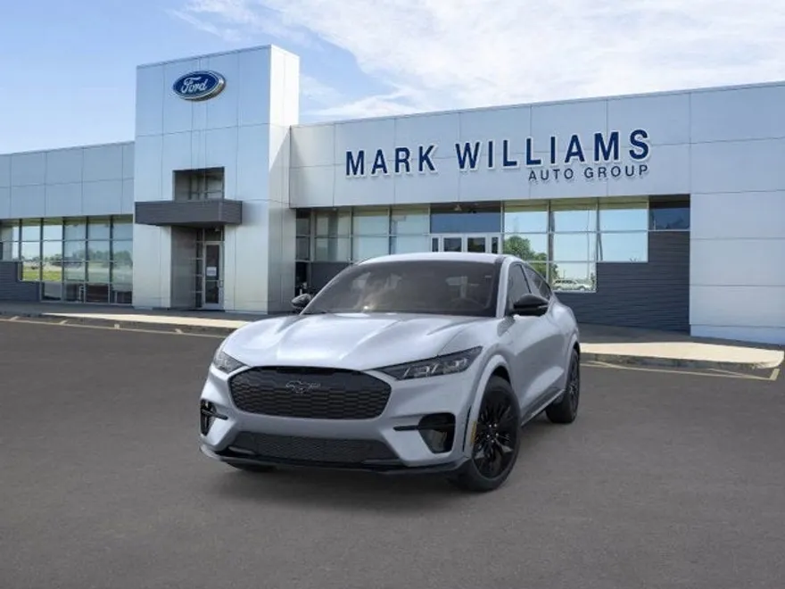 2025 Ford Mustang Mach-E GT photo 1