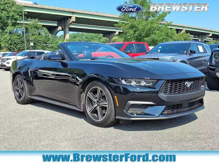 2025 Ford Mustang EcoBoost Premium photo 1
