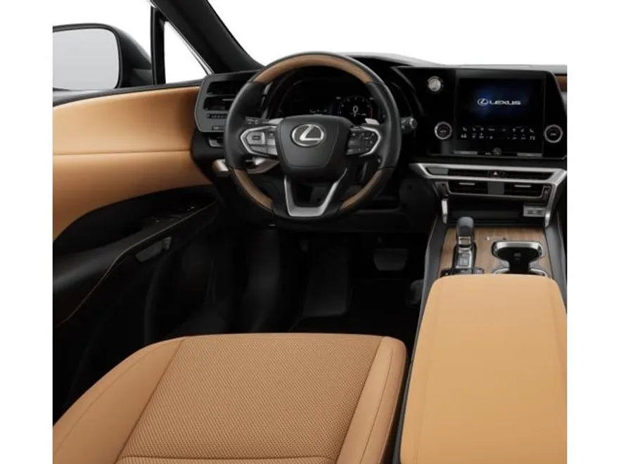 2025 Lexus RX 350 Premium photo 1