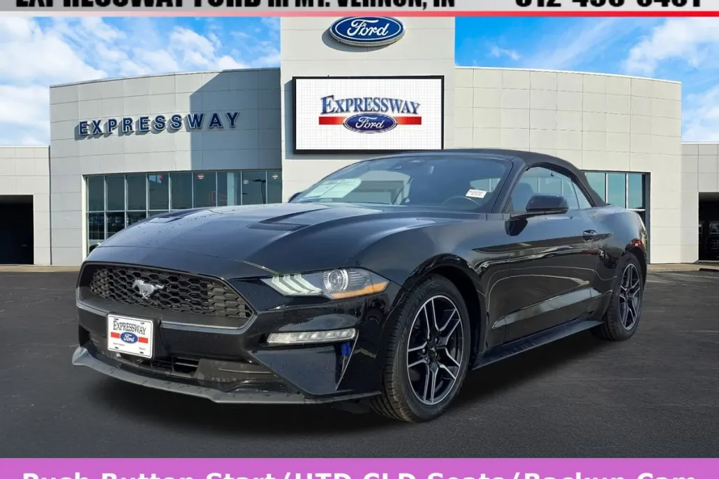 2022 Ford Mustang EcoBoost Premium photo 1