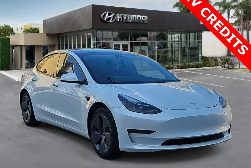 2023 Tesla Model 3 photo 1