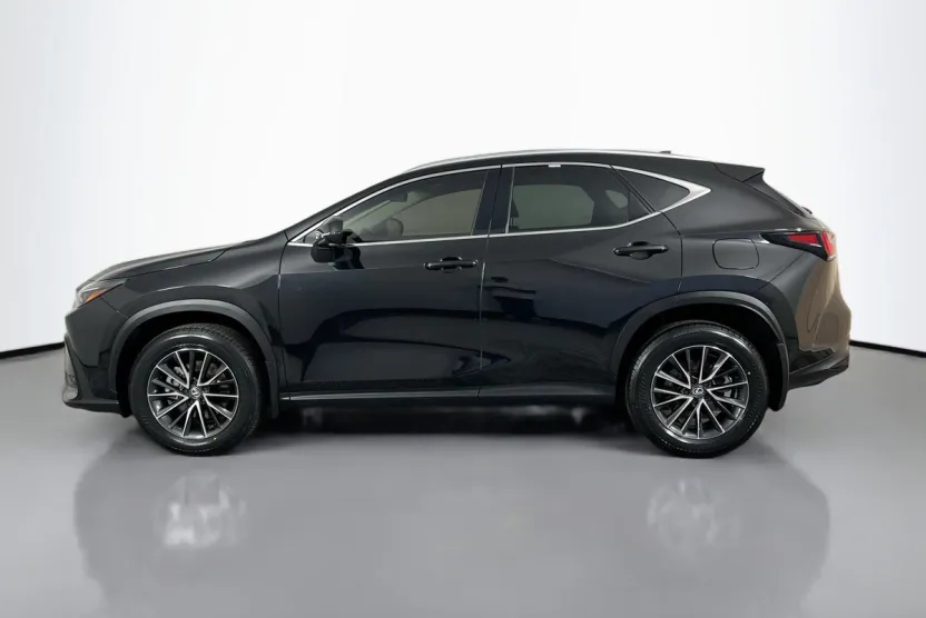 2024 Lexus NX 350 Premium photo 1