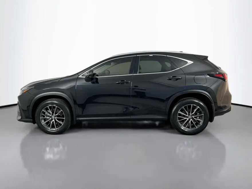2024 Lexus NX 350 Premium photo 1