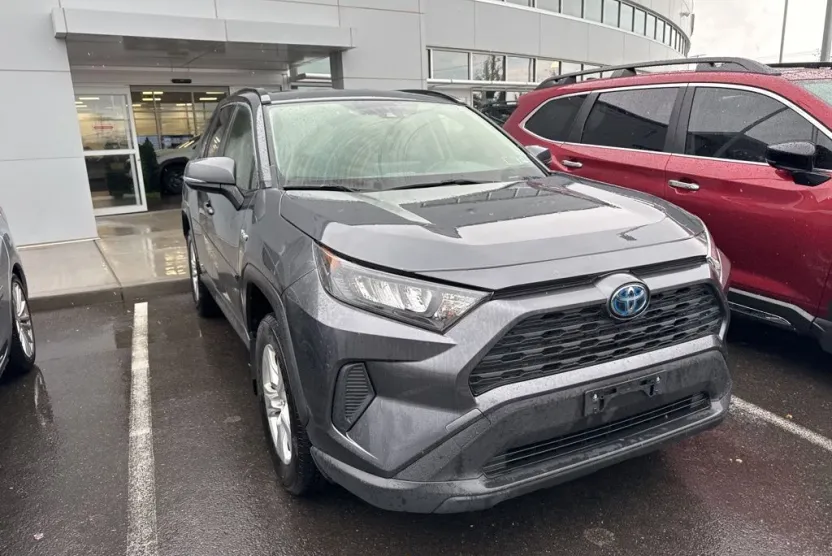 2019 Toyota RAV4 Hybrid LE photo 1