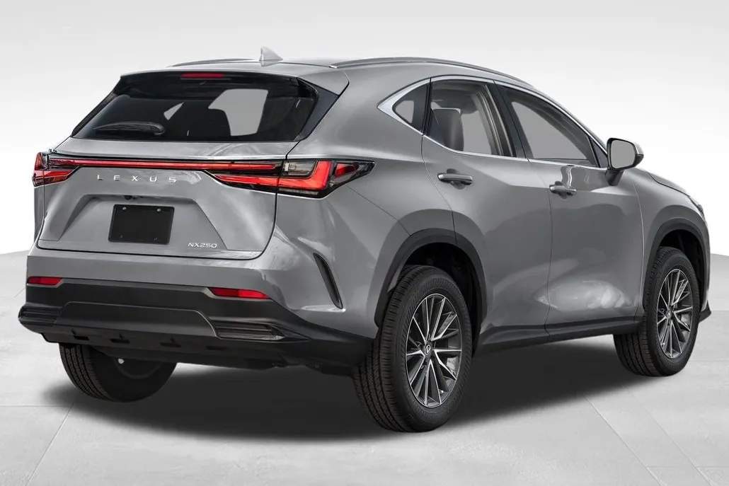 2024 Lexus NX 250 photo 1