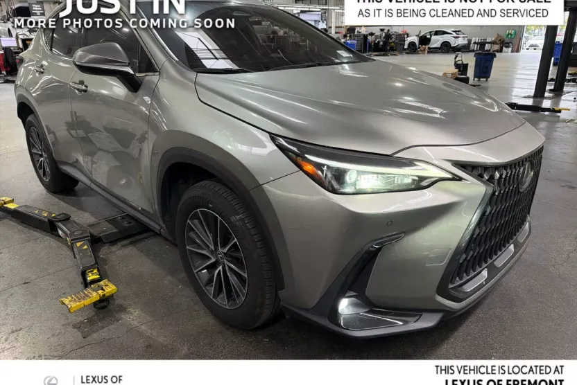 2024 Lexus NX 350 Premium photo 1