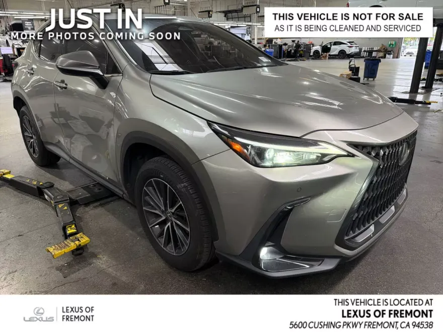2024 Lexus NX 350 Premium photo 1