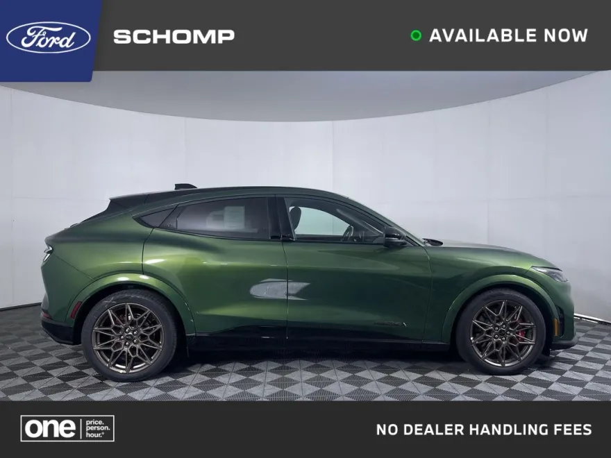 2025 Ford Mustang Mach-E GT photo 1