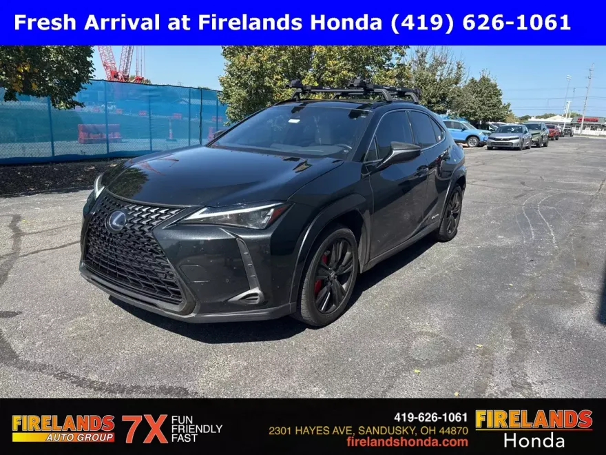 2021 Lexus UX 250h photo 1