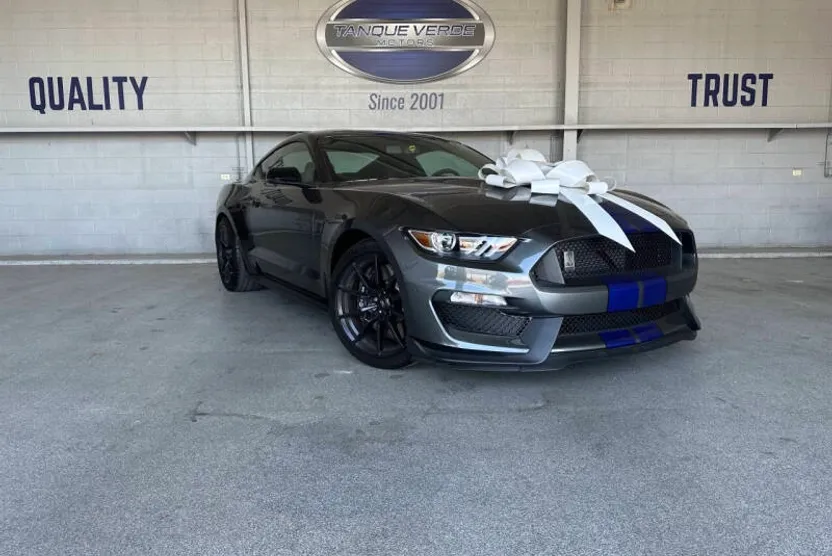2016 Ford Mustang Shelby GT350 photo 1