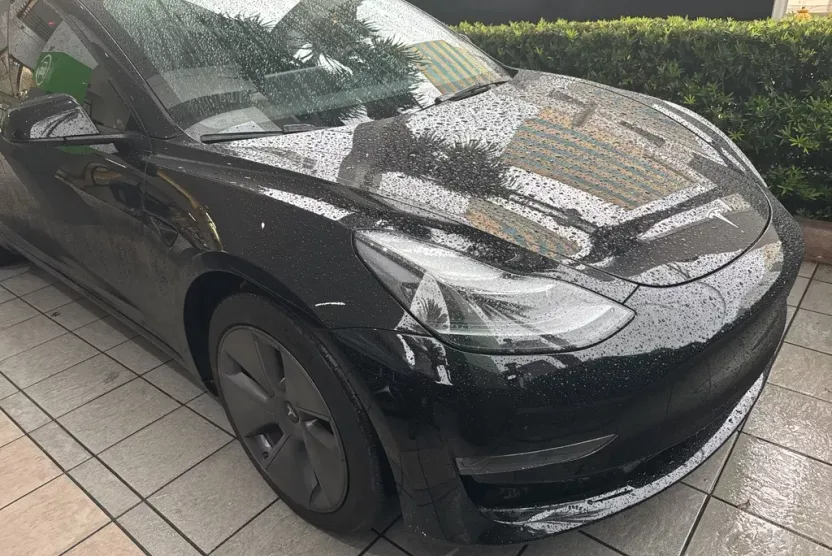 2023 Tesla Model 3 photo 1