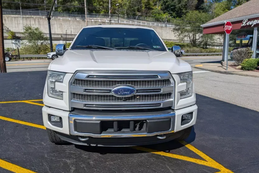 2016 Ford F-150 Platinum photo 1