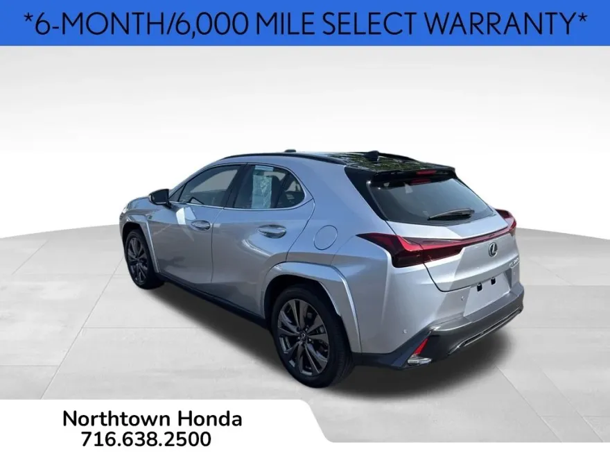2024 Lexus UX 250h F SPORT Design photo 1