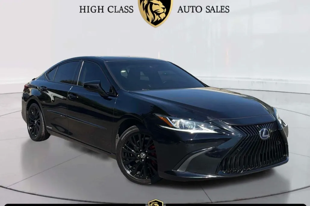 2020 Lexus ES 300h photo 1