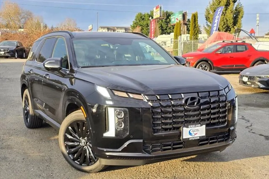 2025 Hyundai Palisade Calligraphy photo 1