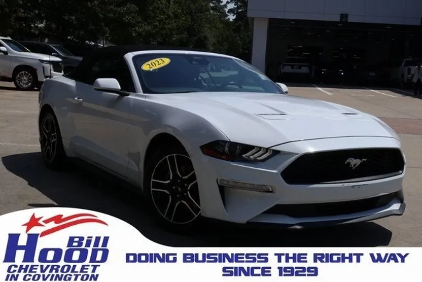 2022 Ford Mustang EcoBoost photo 1