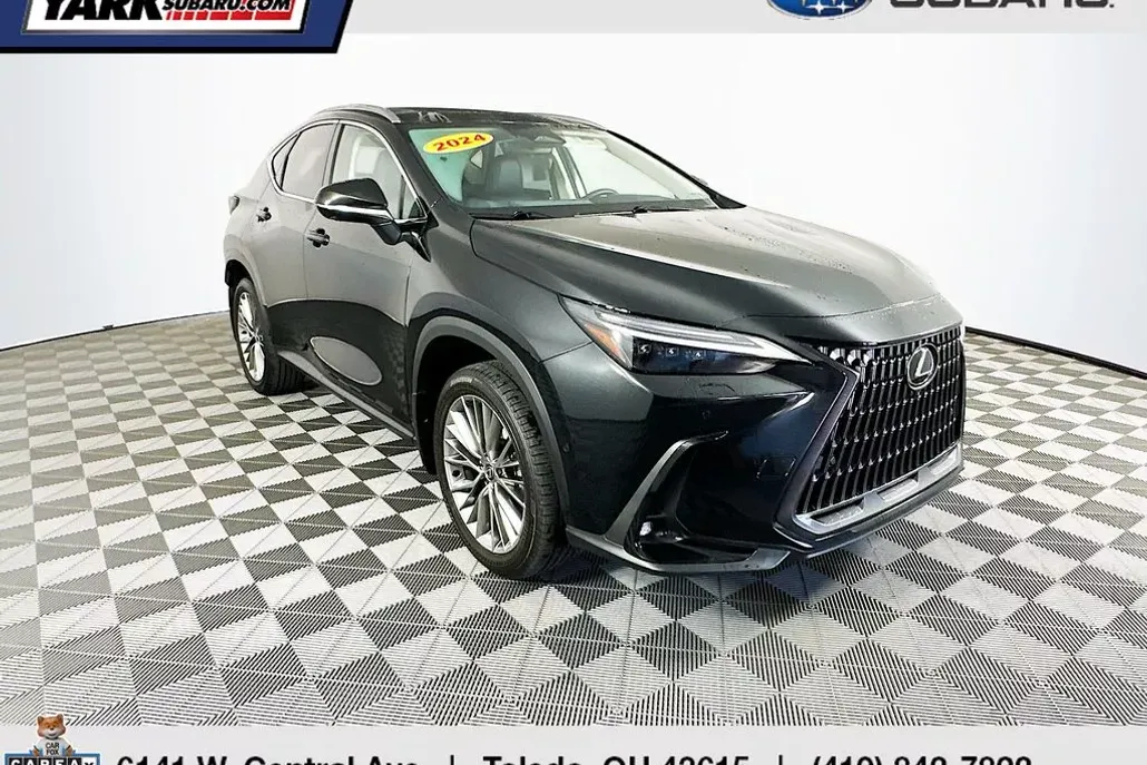 2024 Lexus NX 350 Luxury photo 1