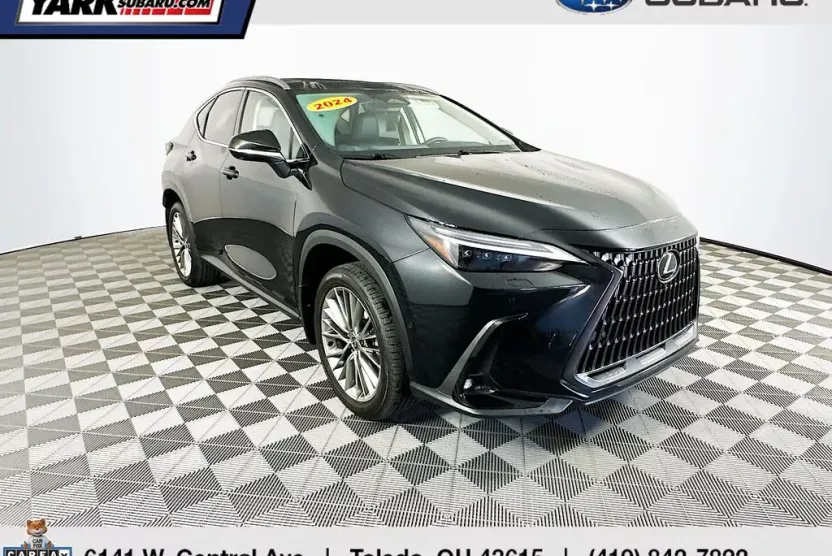 2024 Lexus NX 350 Luxury photo 1