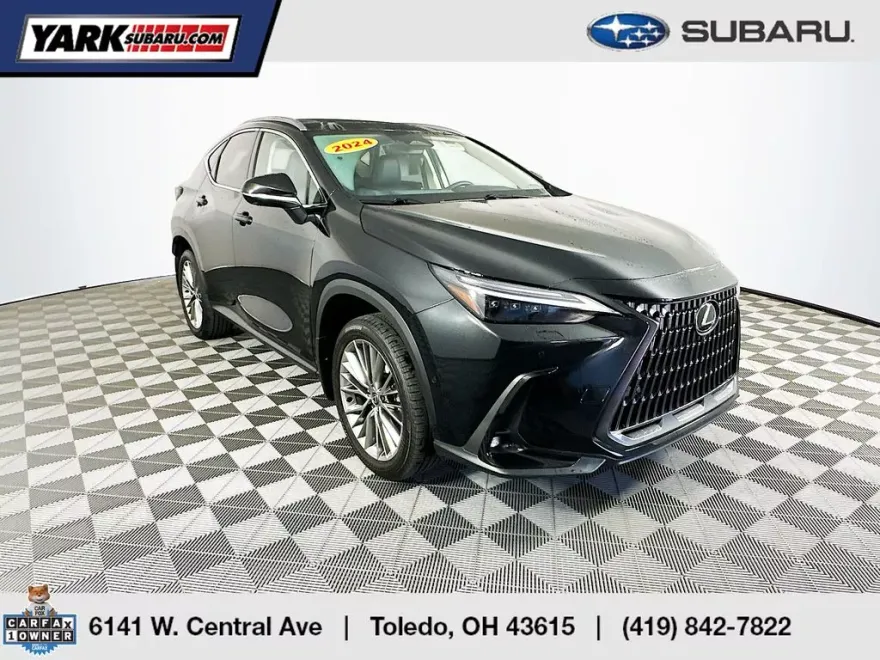 2024 Lexus NX 350 Luxury photo 1