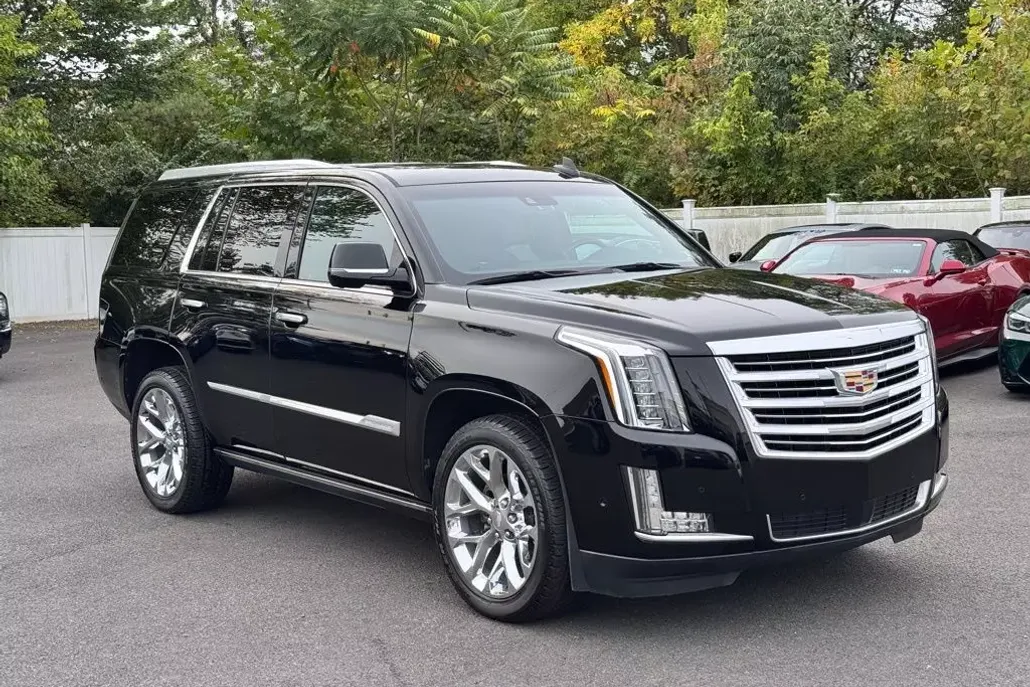 2018 Cadillac Escalade Platinum photo 1