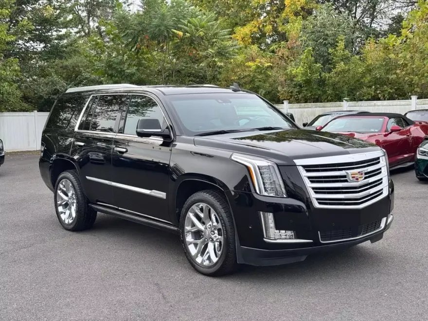 2018 Cadillac Escalade Platinum photo 1