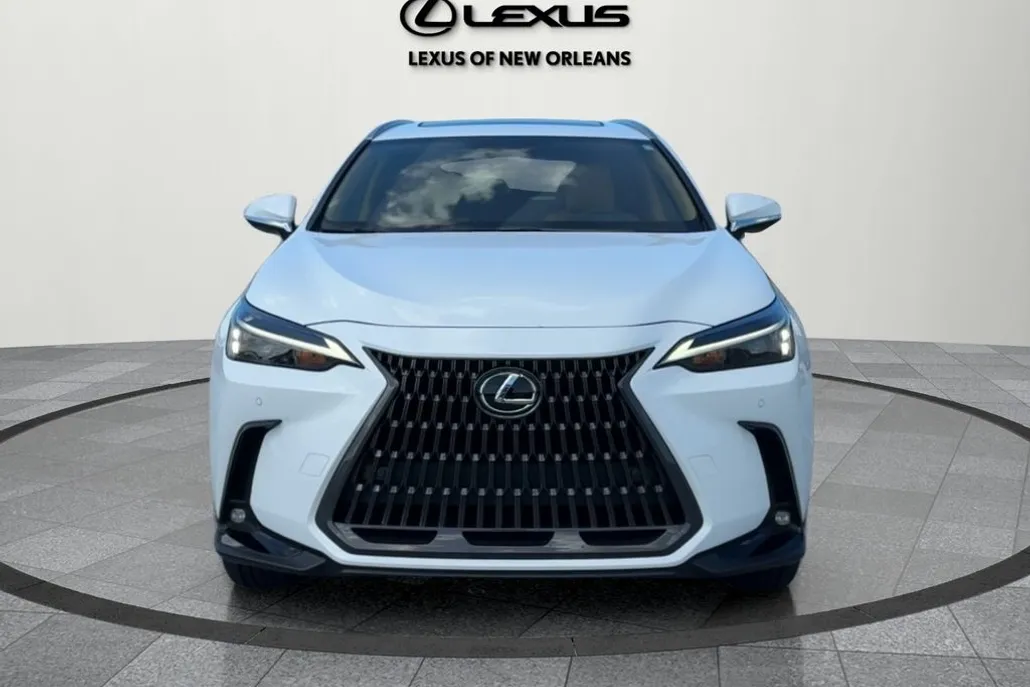 2026 Lexus NX 350 photo 1