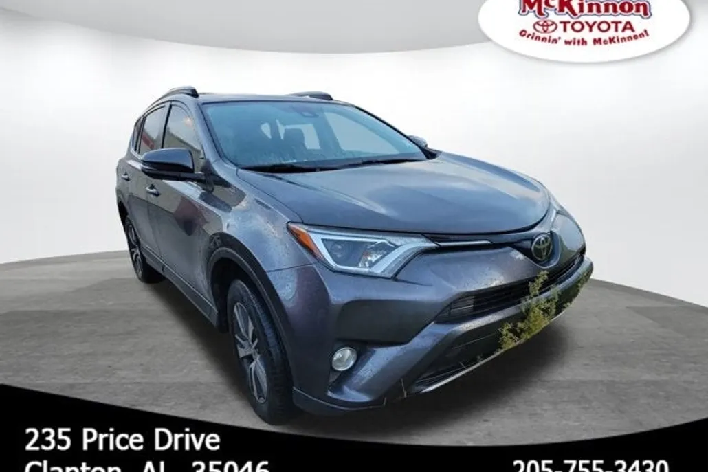 2017 Toyota RAV4 XLE photo 1