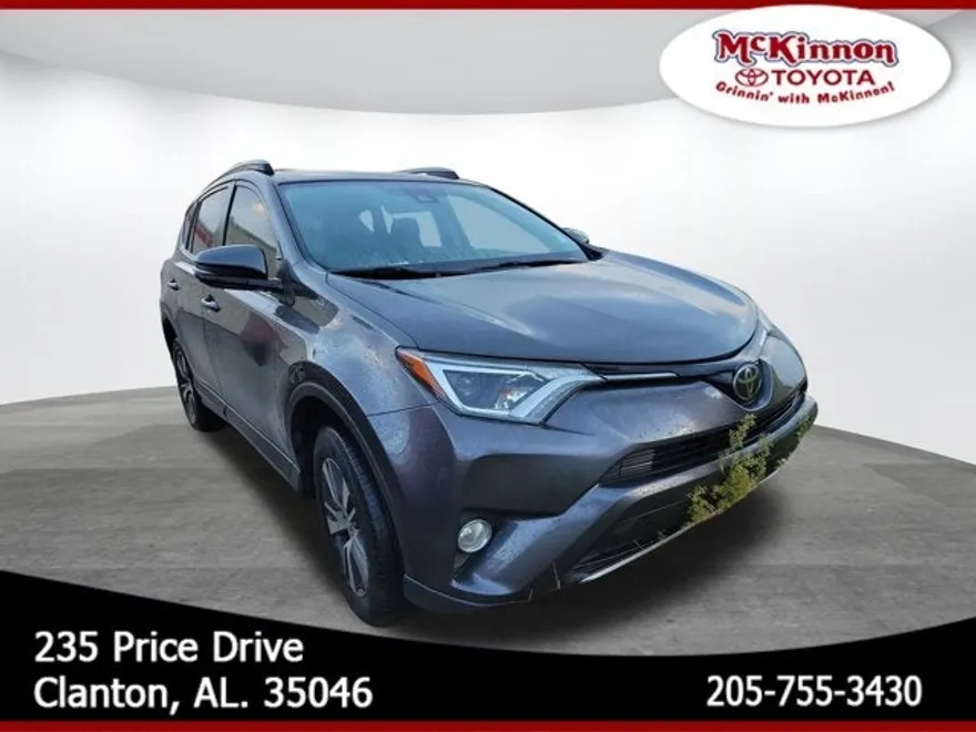 2017 Toyota RAV4 XLE photo 1