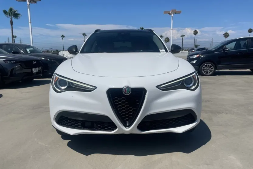 2020 Alfa Romeo Stelvio Base photo 1