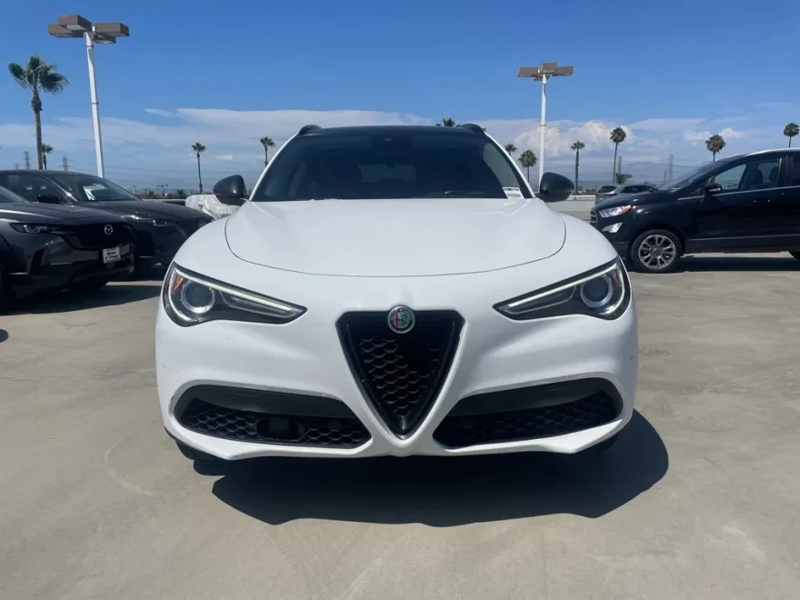 2020 Alfa Romeo Stelvio Base photo 1