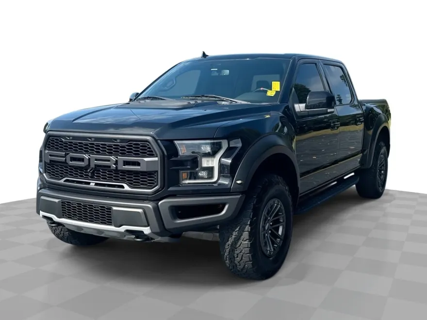 2019 Ford F-150 Raptor photo 1