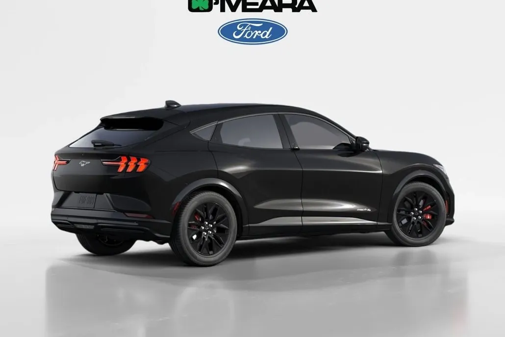 2025 Ford Mustang Mach-E Premium photo 1
