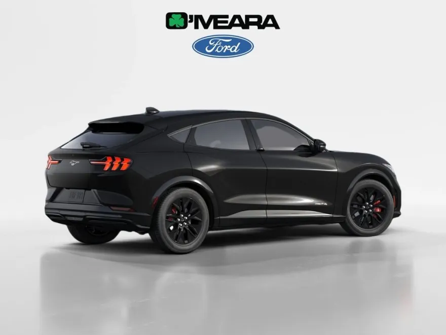 2025 Ford Mustang Mach-E Premium photo 1