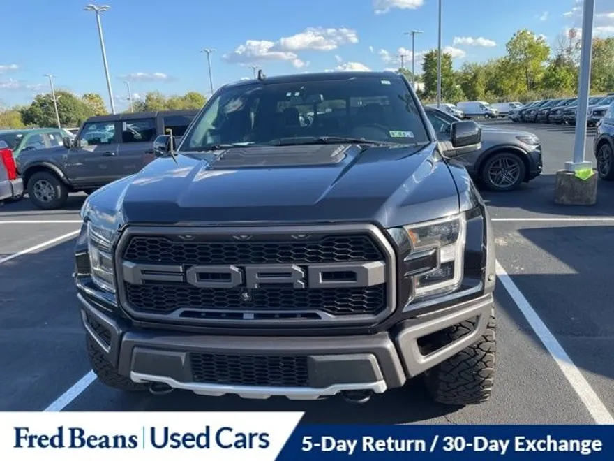 2020 Ford F-150 Raptor photo 1